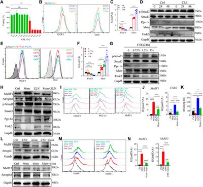 Dysregulated myokines and signaling pathways in skeletal muscle dysfunction in a cigarette smoke–induced model of chronic obstructive pulmonary disease
